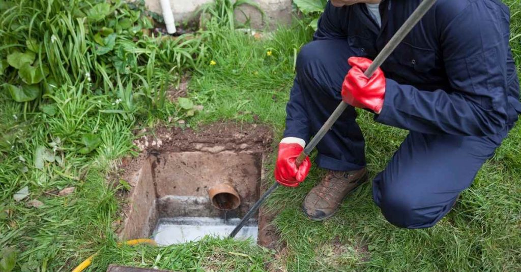 How to Design a Garden Drainage System for Maximum Efficiency